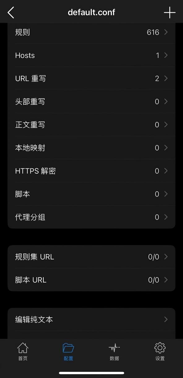 default.conf 详情中的规则和代理分组入口