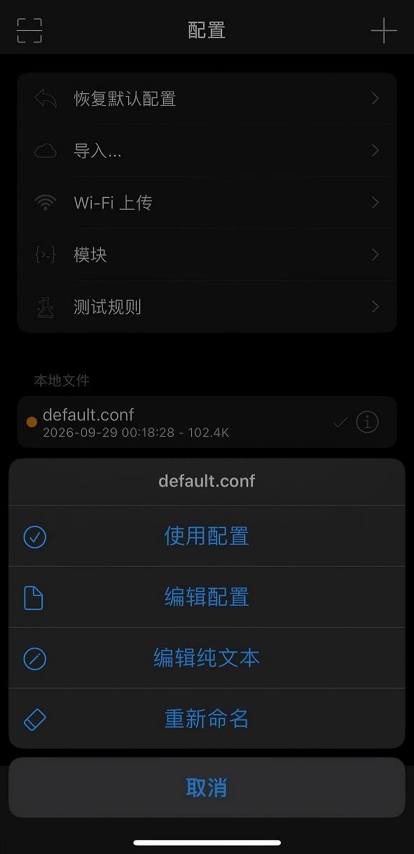 点击 default.conf 后出现使用配置、编辑配置和编辑纯文本菜单