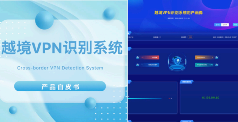 图片描述：越境VPN识别系统